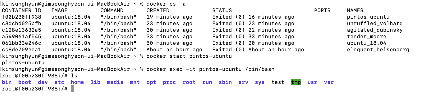 /images/posts/cs/pintos-5/docker-exec.png 사진
