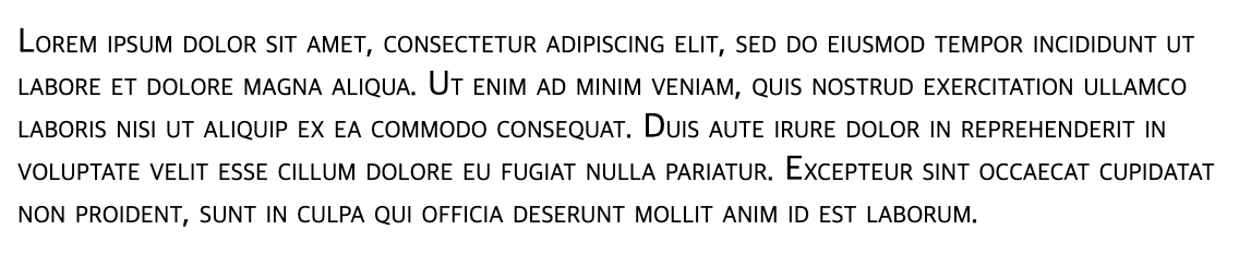 /images/posts/dev/mdn-css-6/lorem-small-caps.png 사진