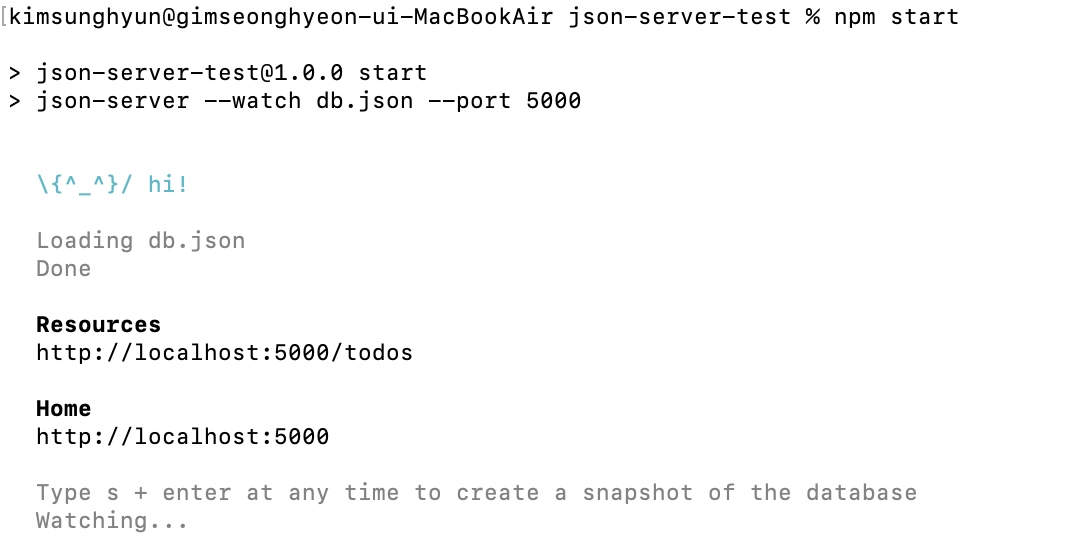 /images/posts/dev/swr/json-server-open.png 사진