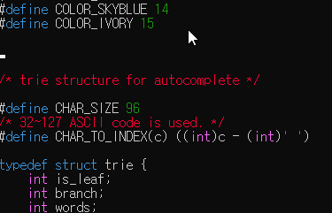 Code Editor by C 프로젝트 사진
